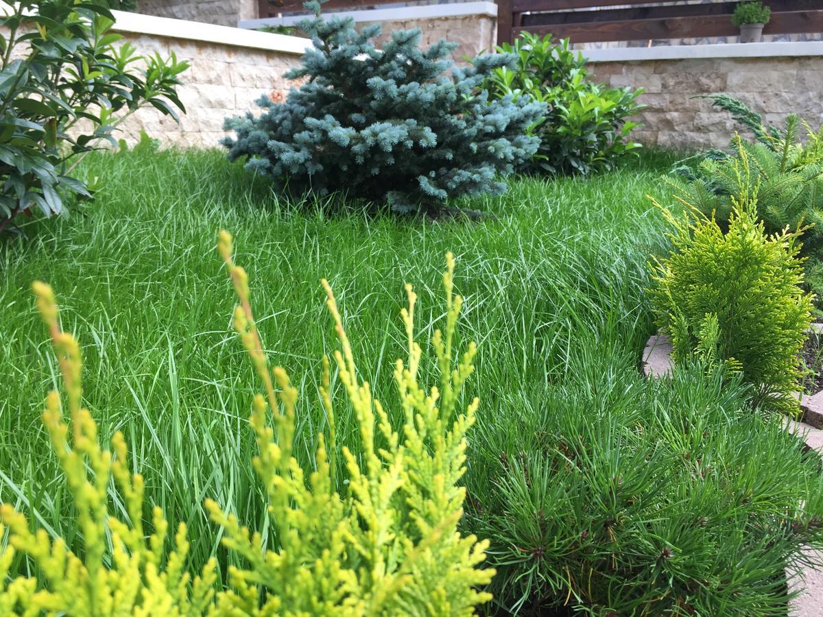 Garden Apart Predeal Eksteriør billede